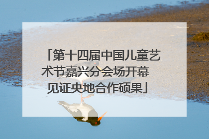 第十四届中国儿童艺术节嘉兴分会场开幕 见证央地合作硕果