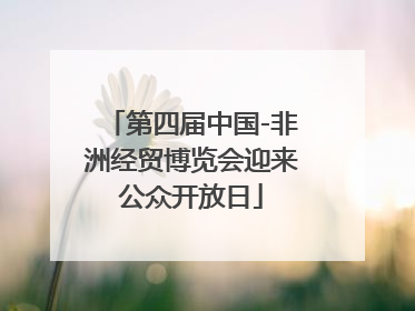 第四届中国-非洲经贸博览会迎来公众开放日