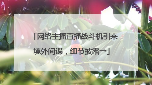 网络主播直播战斗机引来境外间谍，细节披露→