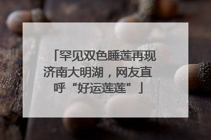 罕见双色睡莲再现济南大明湖，网友直呼“好运莲莲”
