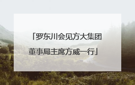 罗东川会见方大集团董事局主席方威一行