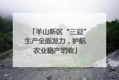 羊山新区“三夏”生产全面发力，护航农业稳产增收