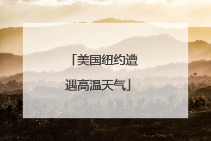 美国纽约遭遇高温天气