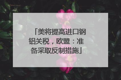美将提高进口钢铝关税，欧盟：准备采取反制措施