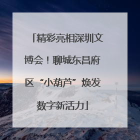 精彩亮相深圳文博会！聊城东昌府区“小葫芦”焕发数字新活力