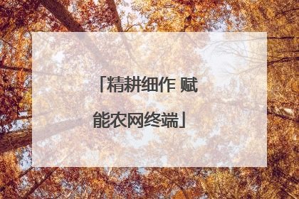 精耕细作 赋能农网终端
