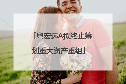 粤宏远A拟终止筹划重大资产重组