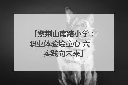 紫荆山南路小学：职业体验绘童心 六一实践向未来