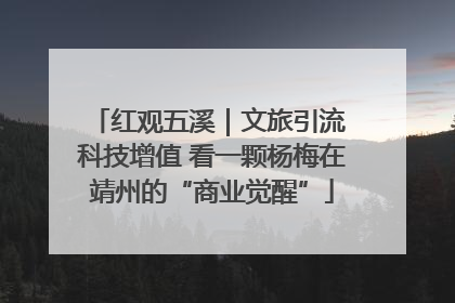 红观五溪｜文旅引流 科技增值 看一颗杨梅在靖州的“商业觉醒”