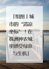 组图丨城市的“清凉坐标”！在株洲神农城里感受绿意与生机