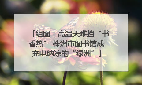 组图丨高温天难挡“书香热” 株洲市图书馆成充电纳凉的“绿洲”