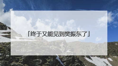 终于又能见到樊振东了