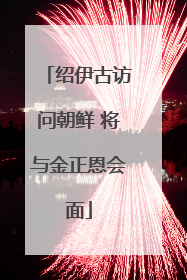 绍伊古访问朝鲜 将与金正恩会面