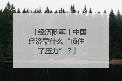 经济随笔丨中国经济靠什么“顶住了压力”？