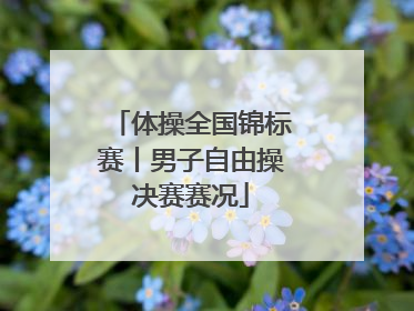 体操全国锦标赛丨男子自由操决赛赛况