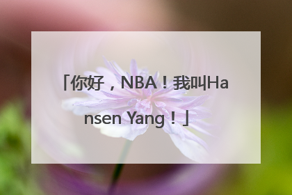 你好，NBA！我叫Hansen Yang！