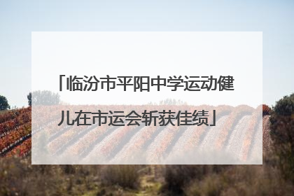 临汾市平阳中学运动健儿在市运会斩获佳绩