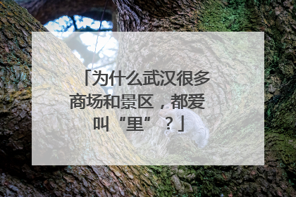 为什么武汉很多商场和景区，都爱叫“里”？