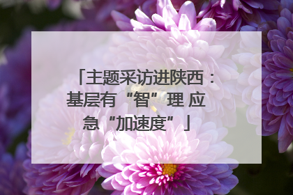 主题采访进陕西：基层有“智”理 应急“加速度”