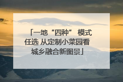 一地“四种” 模式任选 从定制小菜园看城乡融合新图景
