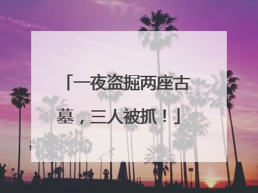 一夜盗掘两座古墓，三人被抓！