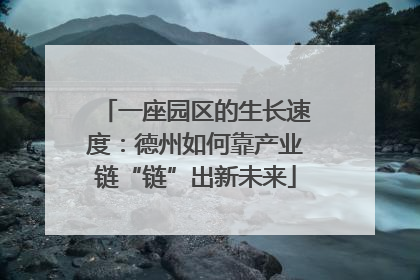 一座园区的生长速度：德州如何靠产业链“链”出新未来