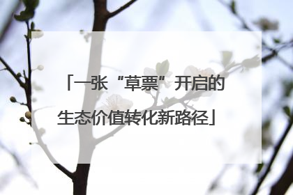一张“草票”开启的生态价值转化新路径