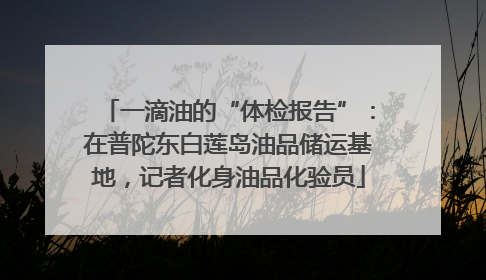一滴油的“体检报告”：在普陀东白莲岛油品储运基地，记者化身油品化验员