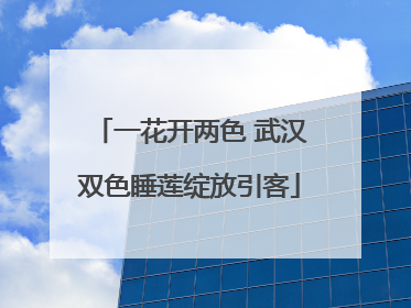 一花开两色 武汉双色睡莲绽放引客