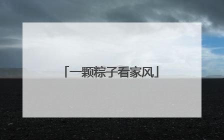 一颗粽子看家风