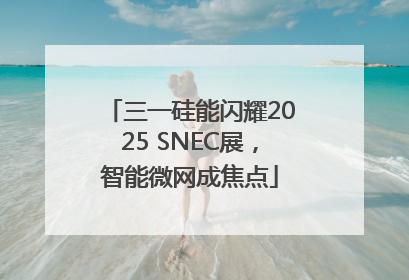 三一硅能闪耀2025 SNEC展，智能微网成焦点