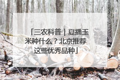 三农科普｜夏播玉米种什么？北京推荐这些优秀品种