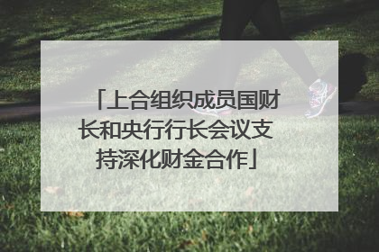 上合组织成员国财长和央行行长会议支持深化财金合作