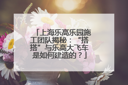 上海乐高乐园施工团队揭秘：“搭搭”与乐高大飞车是如何建造的？