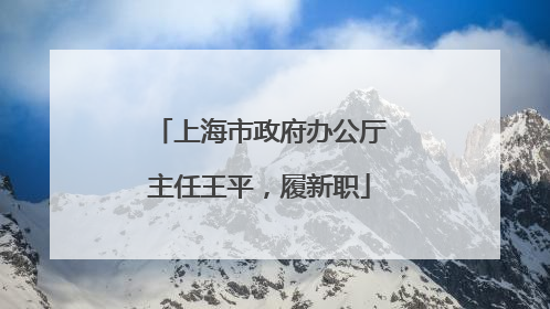 上海市政府办公厅主任王平，履新职
