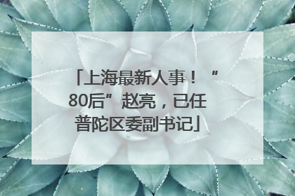 上海最新人事！“80后”赵亮，已任普陀区委副书记