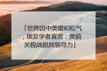 世界因中美缓和松气，埃及学者直言：美搞关税战损其领导力