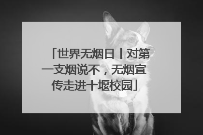 世界无烟日丨对第一支烟说不，无烟宣传走进十堰校园