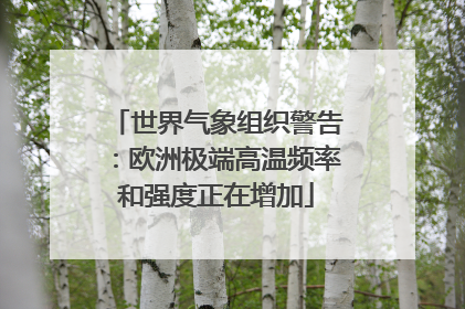 世界气象组织警告：欧洲极端高温频率和强度正在增加