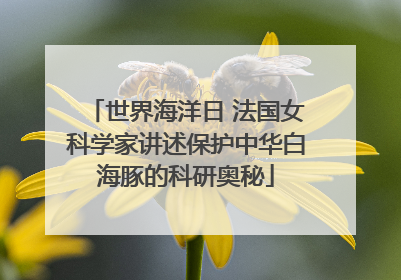 世界海洋日 法国女科学家讲述保护中华白海豚的科研奥秘