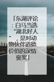 东湖评论：白马当选“湖北好人”，是对动物伙伴道德价值的深情褒奖