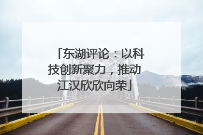 东湖评论：以科技创新聚力，推动江汉欣欣向荣