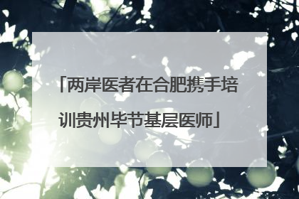 两岸医者在合肥携手培训贵州毕节基层医师