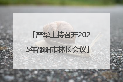 严华主持召开2025年邵阳市林长会议