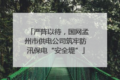 严阵以待，国网孟州市供电公司筑牢防汛保电“安全堤”