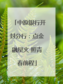 中原银行开封分行：点金融星火 照青春前程