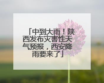 中到大雨！陕西发布灾害性天气预报，西安降雨要来了