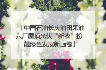 中国石油长庆油田采油六厂屋顶光伏“新衣”扮靓绿色发展新画卷