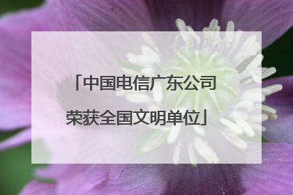 中国电信广东公司荣获全国文明单位