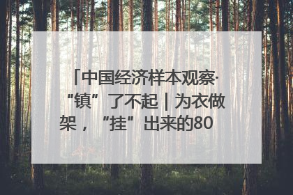 中国经济样本观察·“镇”了不起｜为衣做架，“挂”出来的80亿元“衣架产业”